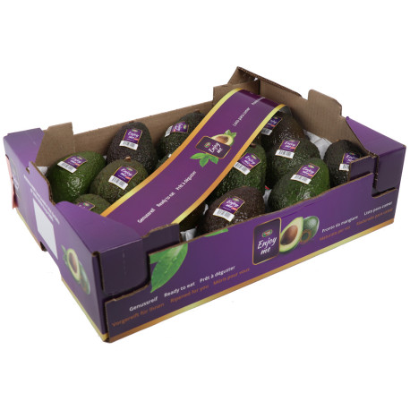 AVOCAT HASS ENJOY ME 16PCS